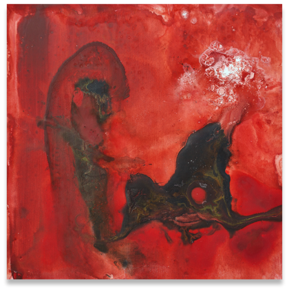 Collections Terra Prima terra 2